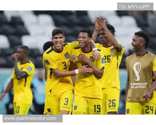 世界杯点评:西安羽毛球队战术表现分析与未来展望