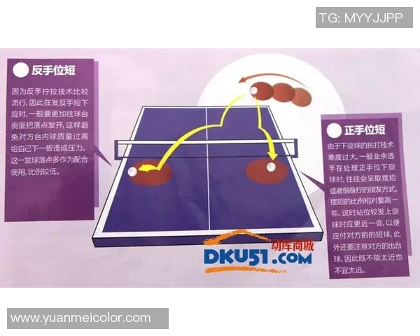 乒乓球的魅力与技巧:深入解析北京乒乓球队的灵活战术与训练秘诀