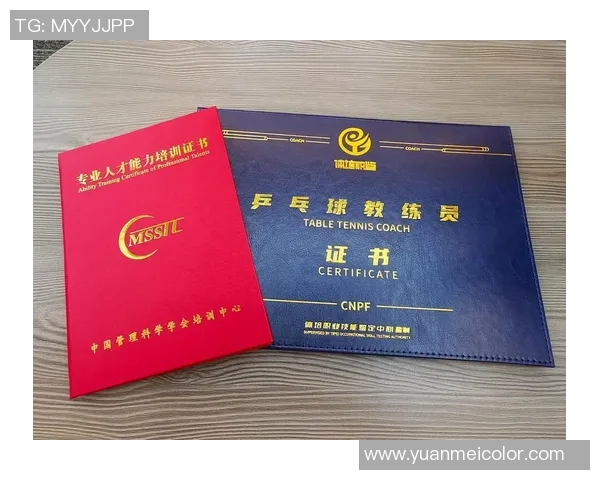 北京乒乓球队精英赛个人能力分析与表现评估探讨