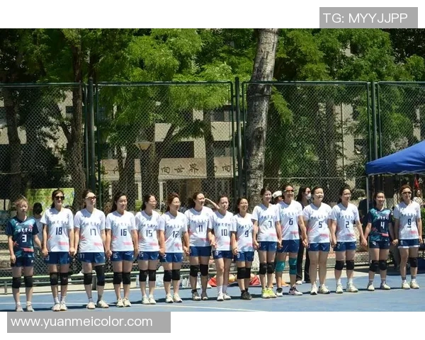 北京排球队的奋斗历程与荣耀时刻全景纪实