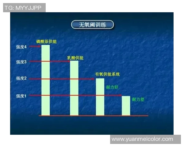武汉羽毛球队战术深度解析与对比研究揭示胜负关键因素