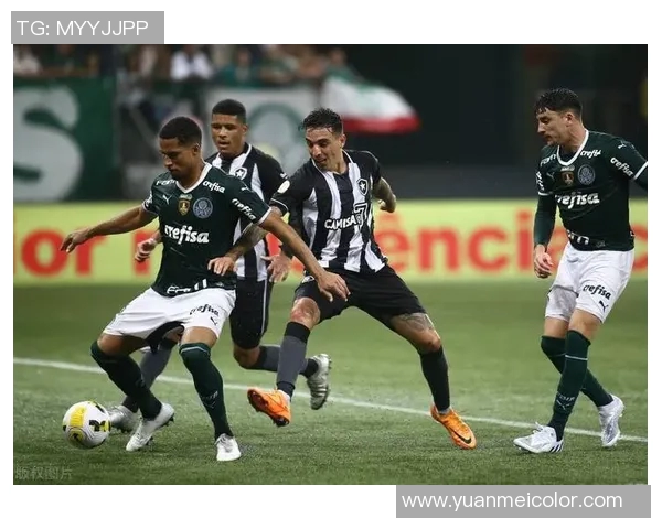 科隆与圣保罗比赛分析及比分推荐详解