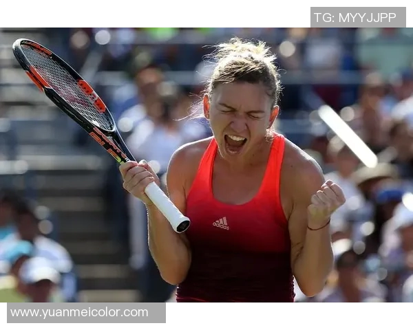 哈勒普与利斯基激战正酣谁能在这场对决中胜出夺冠荣耀